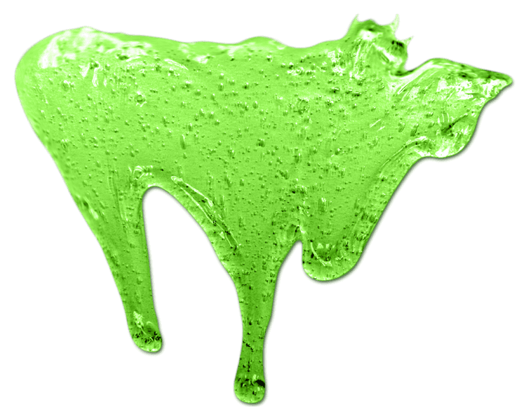 Slime