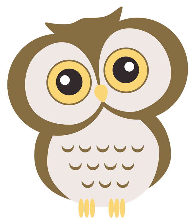 Cute Owl