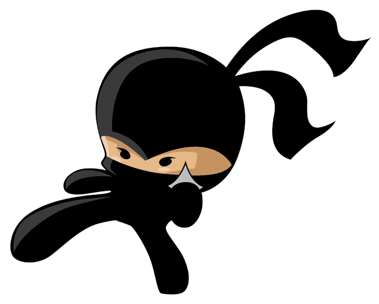 Ninja