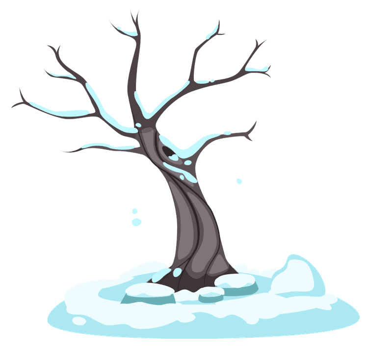 Winter Tree