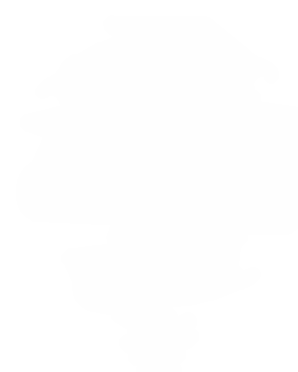 Make your dreams come true