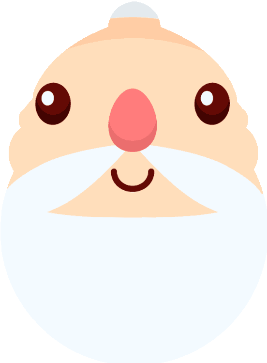 Santa Christmas Face
