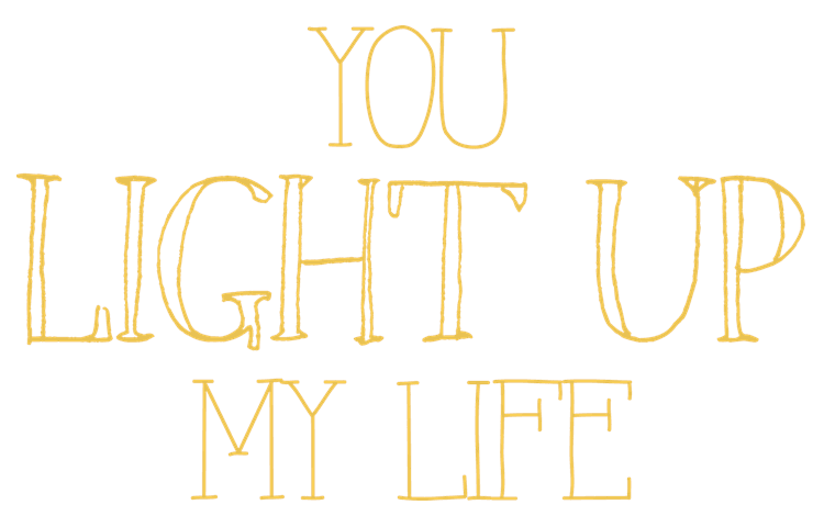 You Light Up My Life