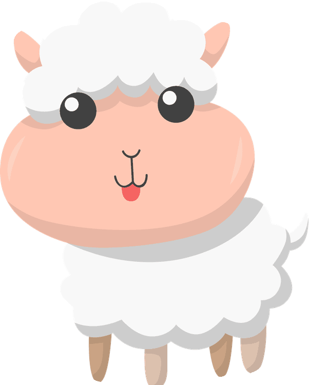 Sheep