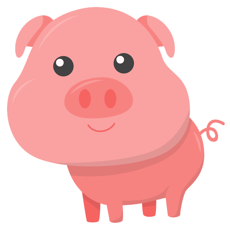 Cute Pig