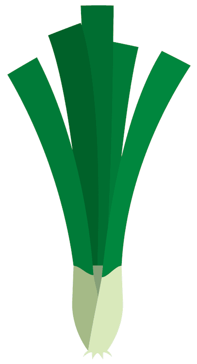 Spring Onions
