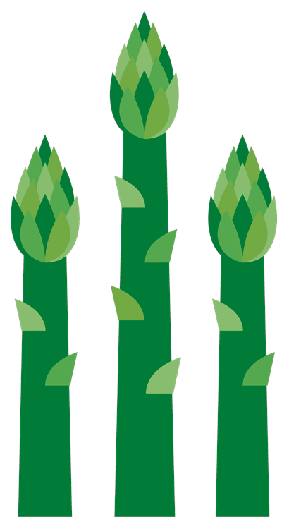 Asparagus