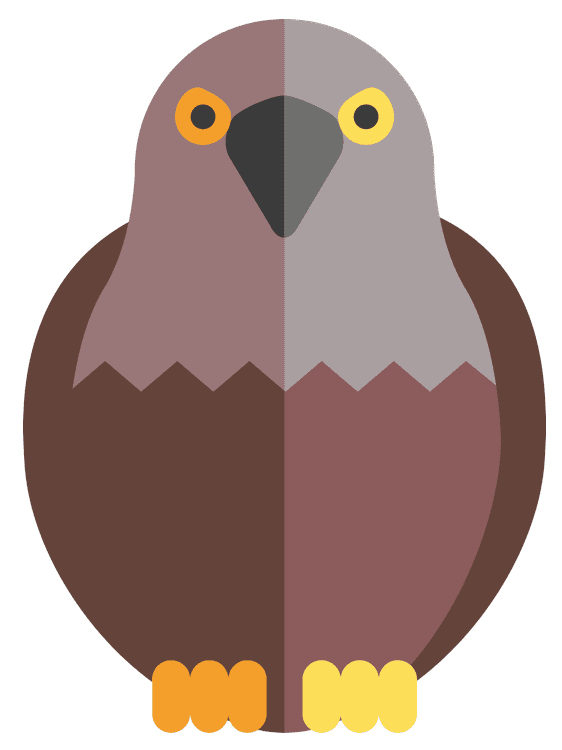 Pigeon Eagle Bird