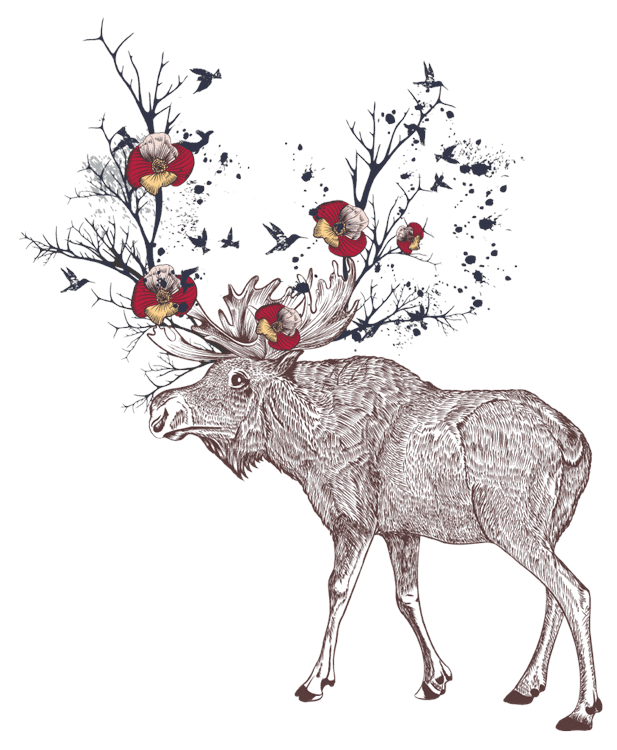 Decorative Moose Antlers