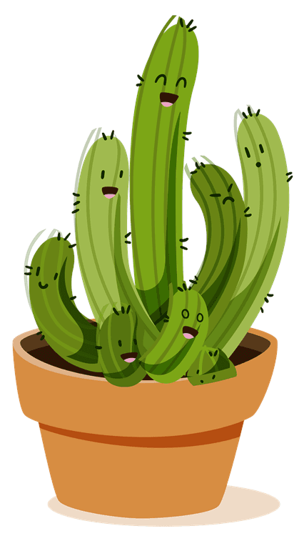 Cacti 1