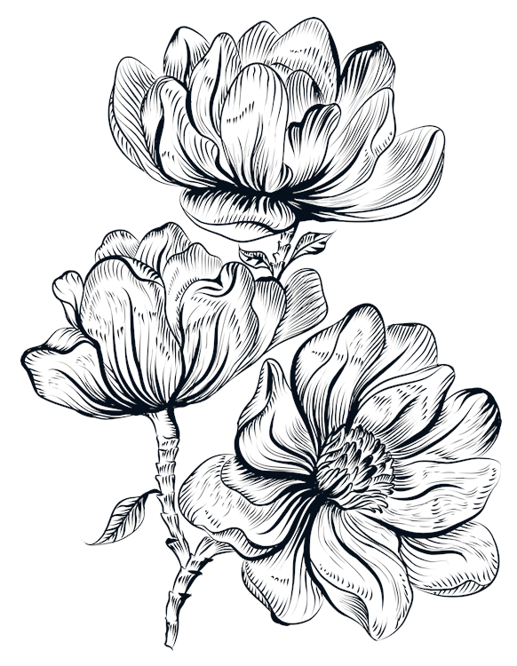 Ink Line Flower Triplets 