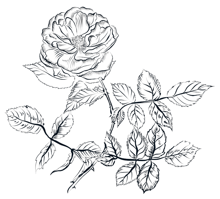 Ink Line Flower Branch