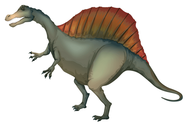Realistic Spinosaurus Dinosaur
