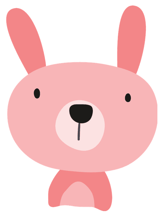 Pink Bunny