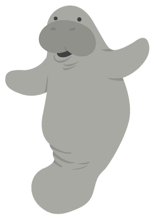 manatee 9