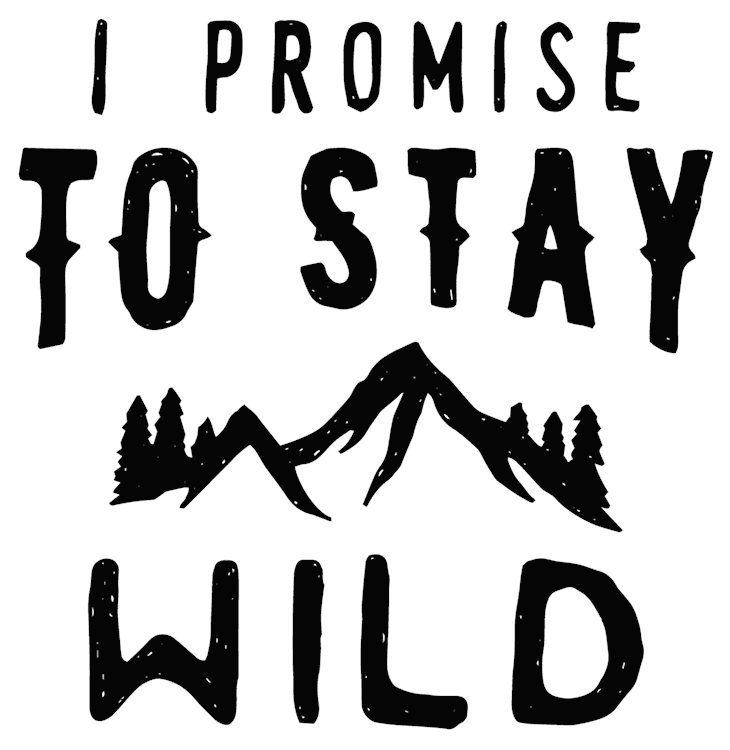 Stay Wild Motivational Quote