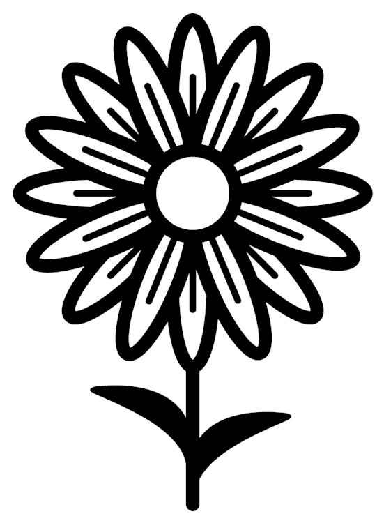 Black and White Daisy Flower