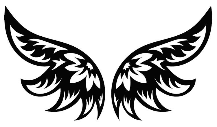 Stylized Angel Wings