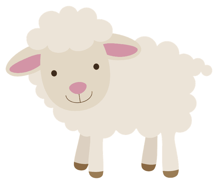 Cute Sheep