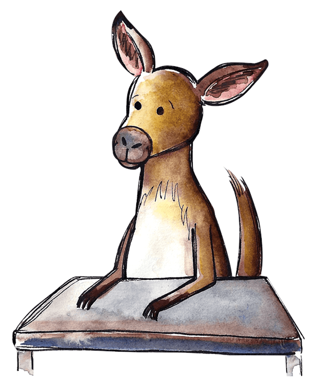 Kangaroo