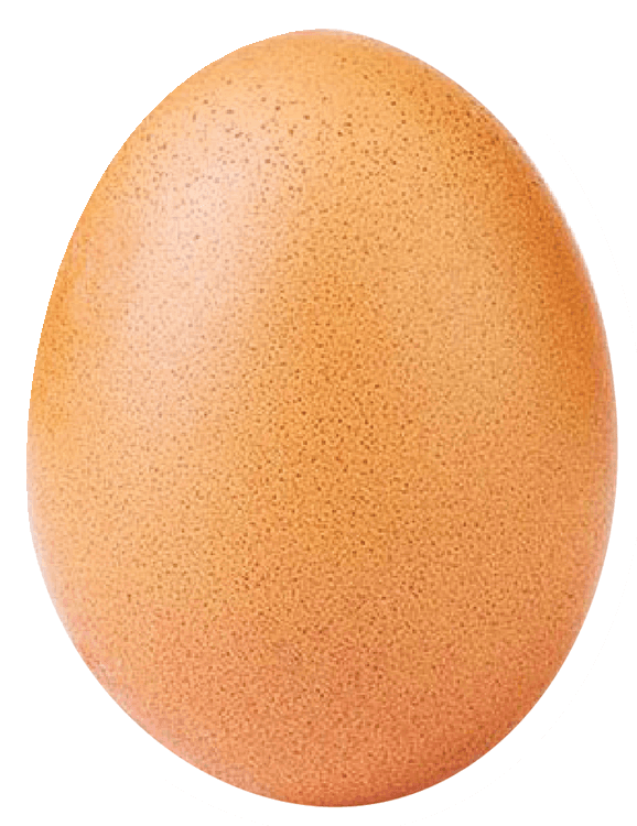 world record egg_Artboard 1.png