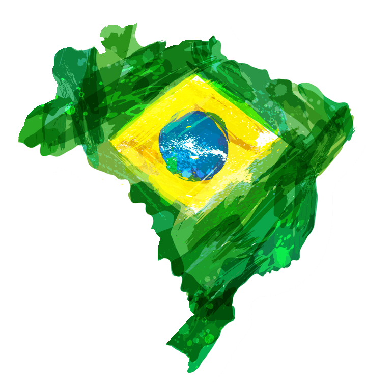 brazil flag_Artboard 238.png