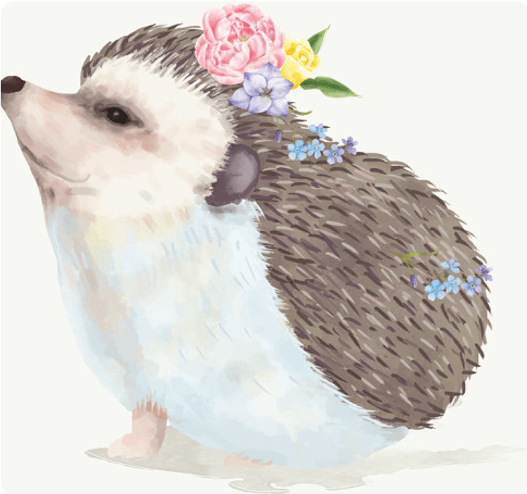 Hedgehog
