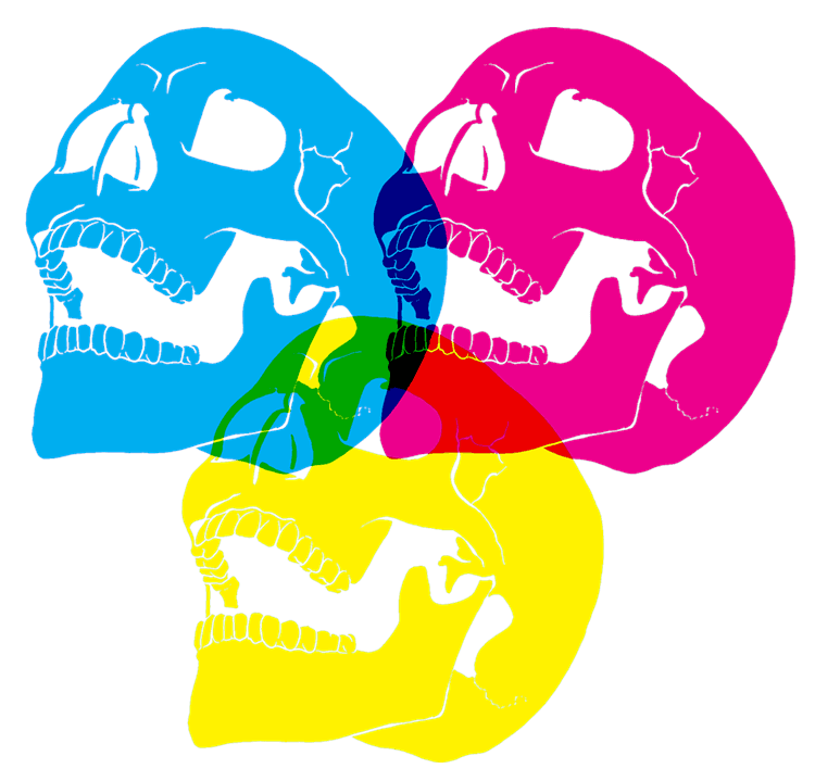 CMY Skull
