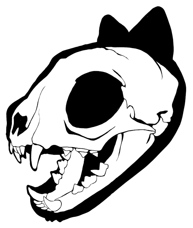 Cat Skull