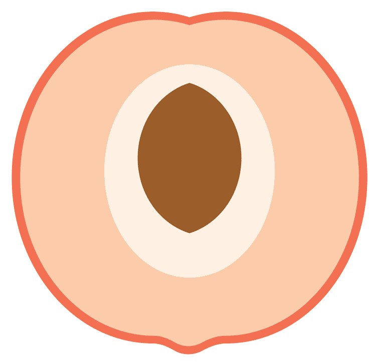 Half Peach Style 1
