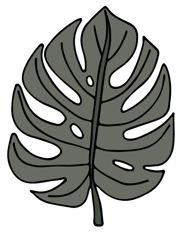 Monsterra Leaf