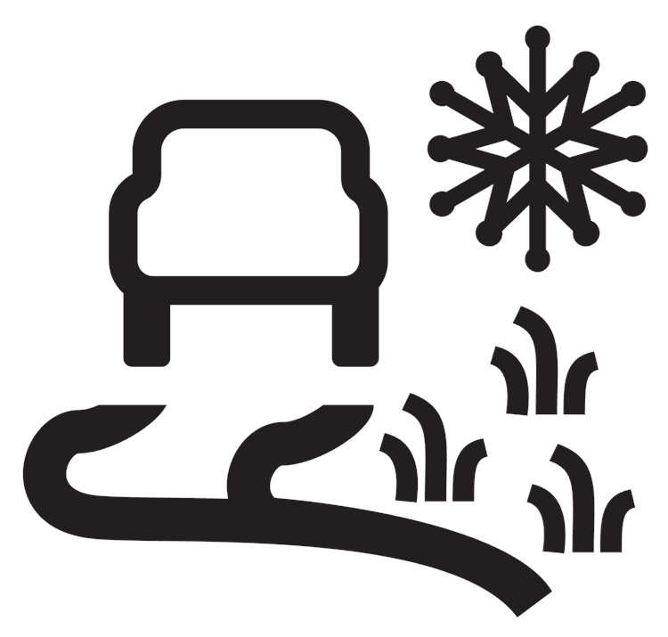 Terrain Response Icon 2