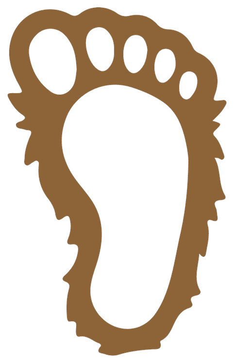 Big Foot