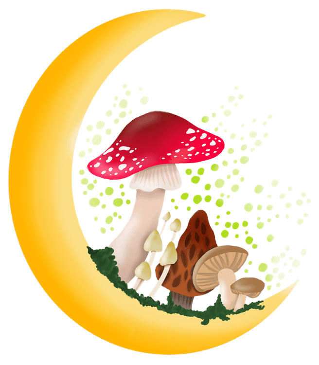 Moon Shrooms