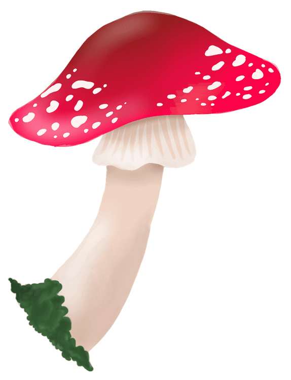 Whimsical Amanita Mushroom