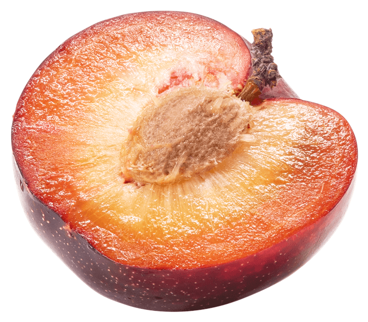 Plum Halved