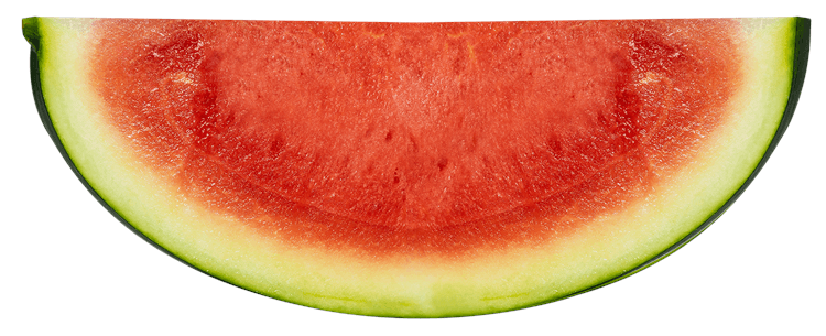 Watermelon Slice