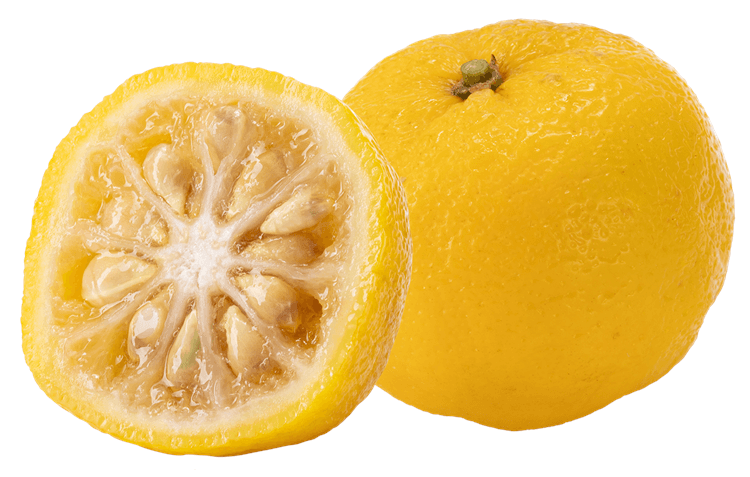 Yuzu Whole and Half