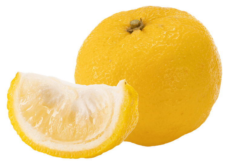 Yuzu Whole and Sliced