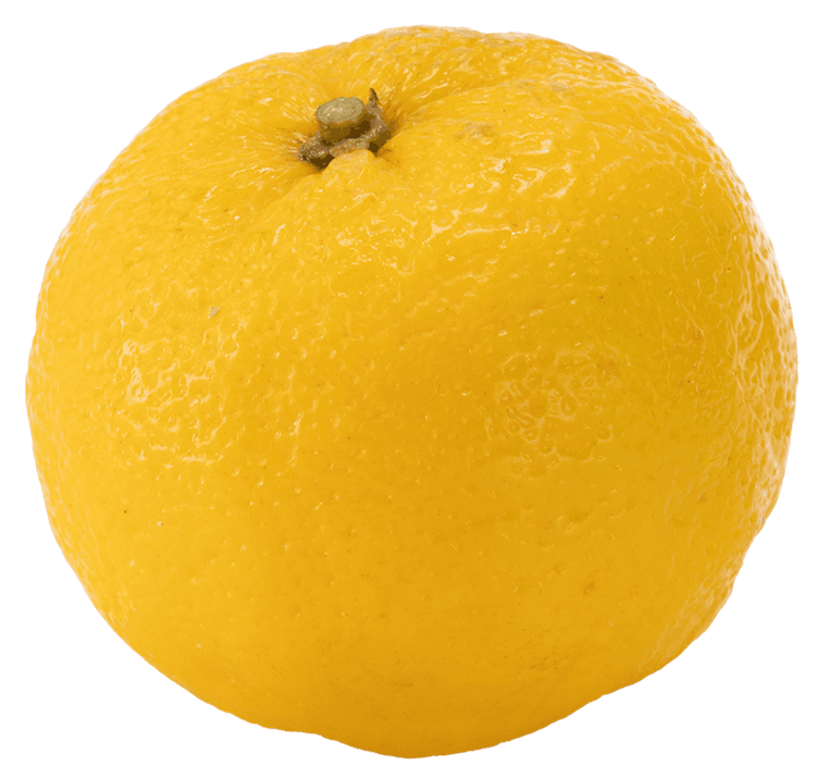 Yuzu Whole