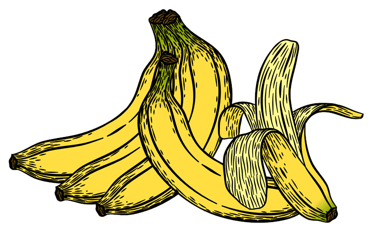 Banana Illustration