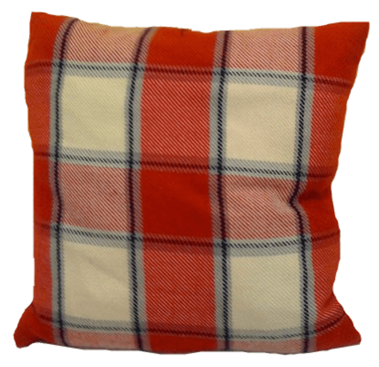 plaidcushion.png