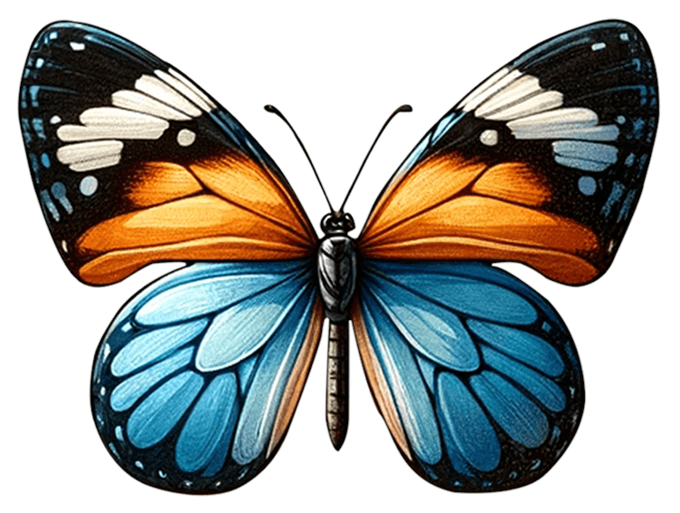 Niagara Parks, Erasma Pulchella Butterfly