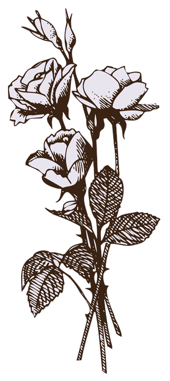 Triple Flower Sketch