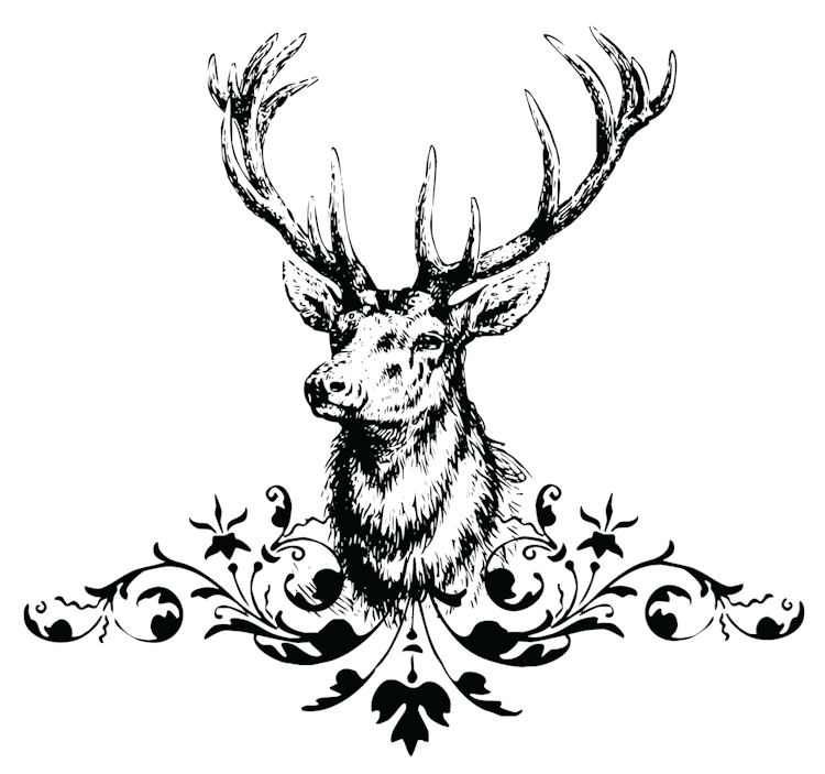 Deer Head Antlers