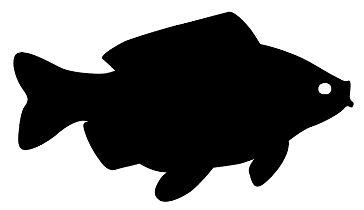 Fish Silhouette