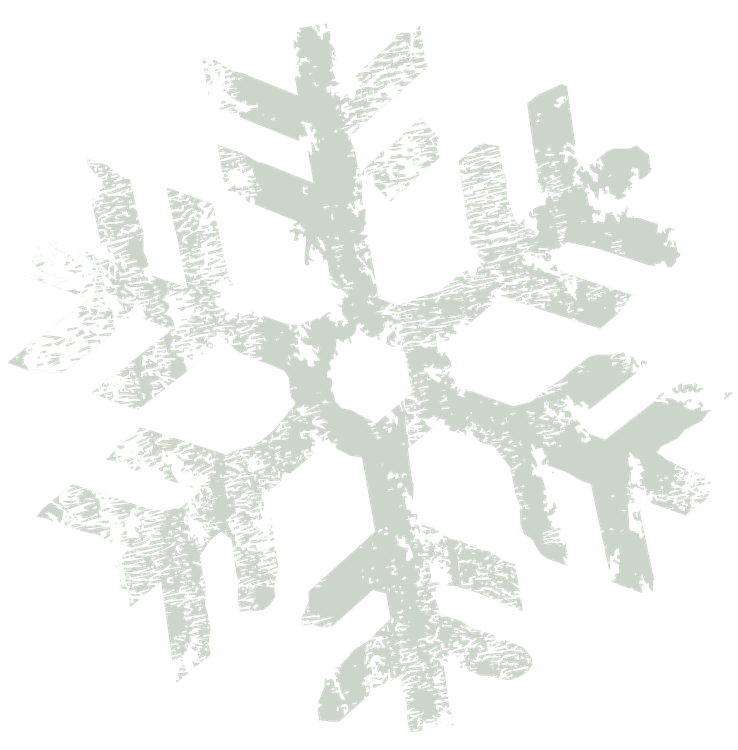 Textured Christmas Snowflake