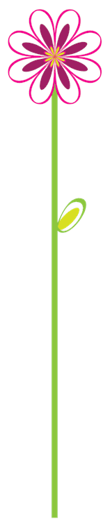 Purple Spring Flowers