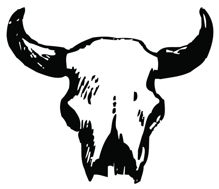Buffalo Skull
