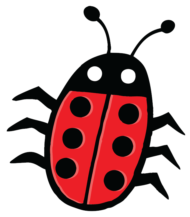 ladybug
